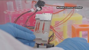 Experiment from Moffitt Cancer Center doctors set to launch to International Space Station