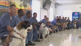 'New lease on life': Avon Park Correctional Institution inmates help train, care for rescue dogs