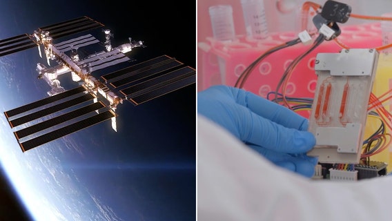 Moffitt Cancer Center experiment on board of first all-private astronaut mission to ISS