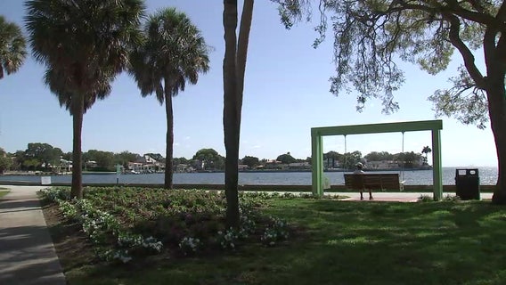 New waterfront swing tributes St. Petersburg's famous 'Green Benches'