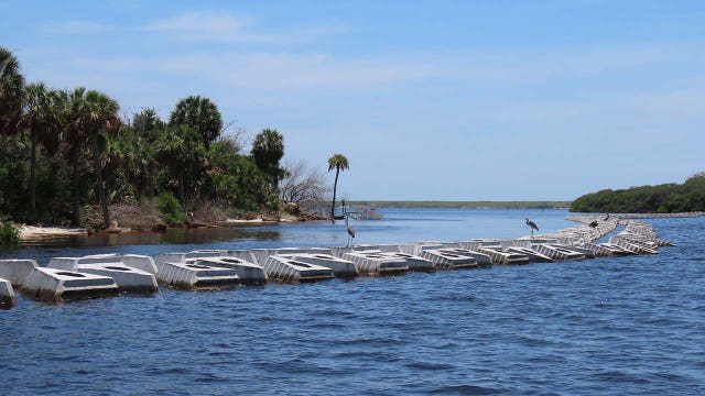 Audubon Florida builds living shoreline to protect local critical wildlife coastline from erosion