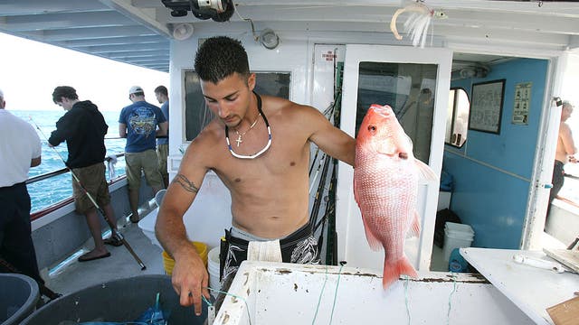 Florida extending red snapper fishing season