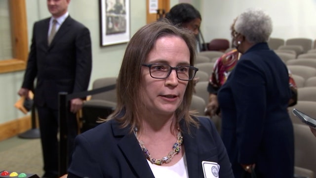 Tampa City Council selects Lynn Hurtak as new member to fill vacancy