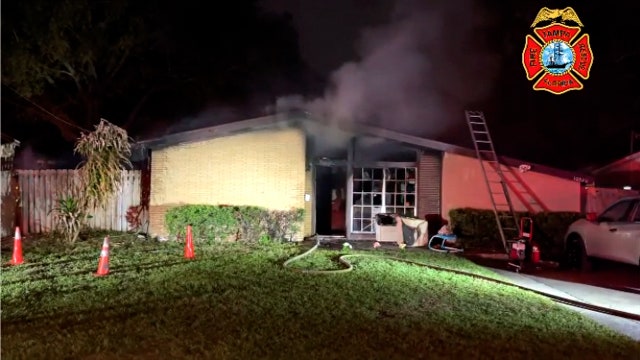 Family displaced, cat killed in Tampa house fire