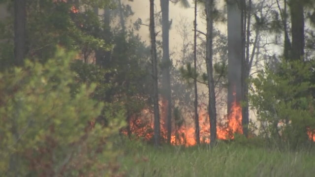 Experts predict ‘active’ fire season despite recent rains