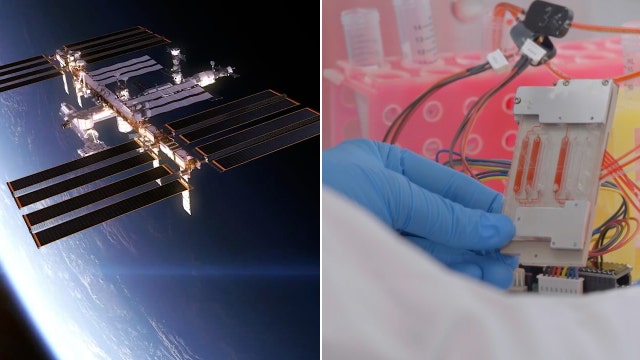 Moffitt Cancer Center experiment on board of first all-private astronaut mission to ISS