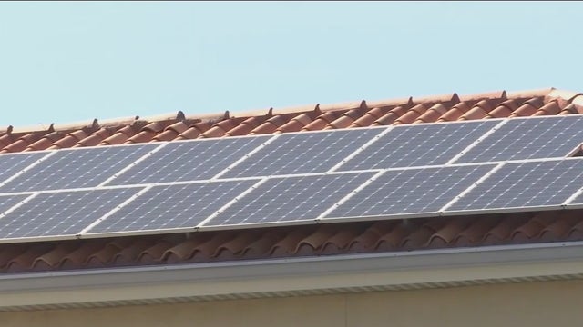 Solar co-op launch offers affordable options for Hillsborough County residents, businesses