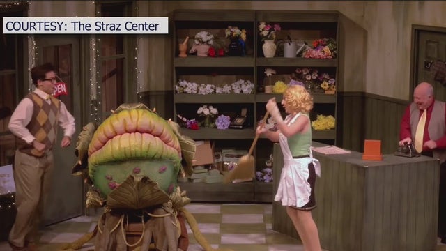 'Little Shop of Horrors' takes Jaeb Theater stage at Straz Center