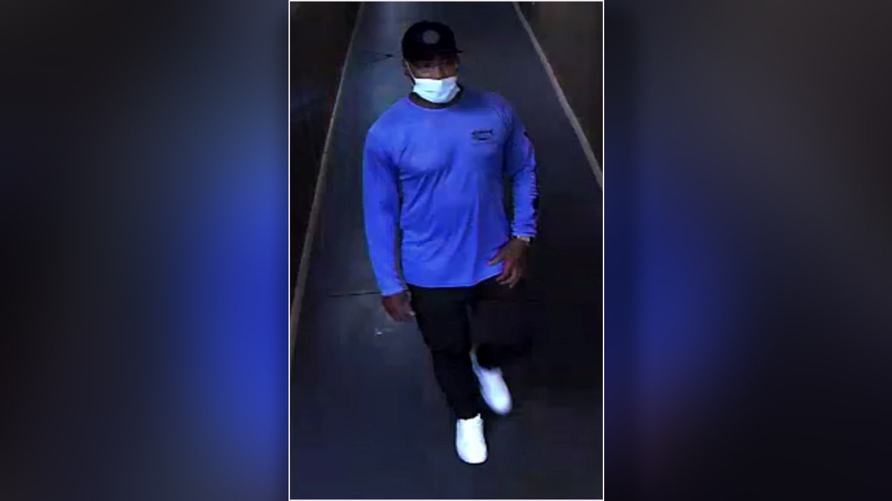 Robber steals more than $30,000 worth of jewelry from Zales in Brandon, deputies say