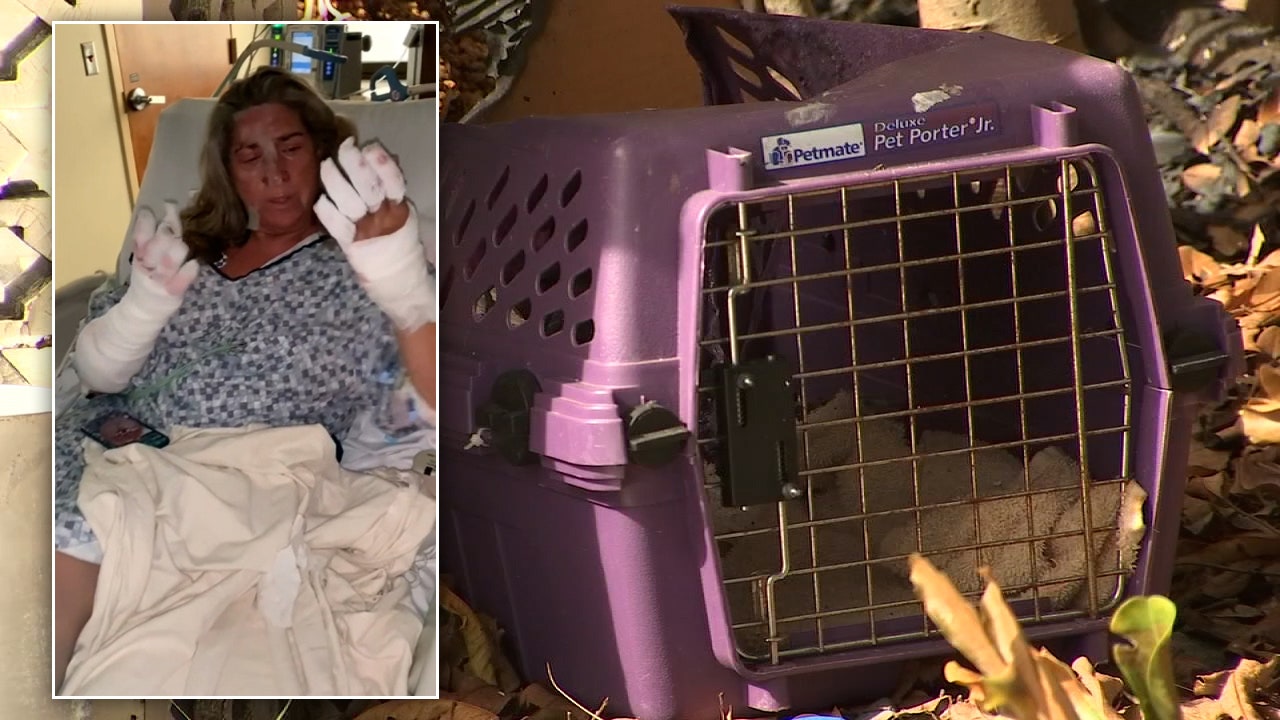 Woman recovering after saving 17 foster cats from inside burning home