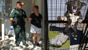 Hernando woman shoots 2 dogs with BB gun nearly 200 times for trying to dig under fence, deputies say