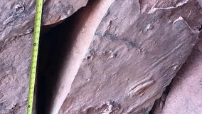 Triassic-period fossils stolen from Capitol Reef National Park
