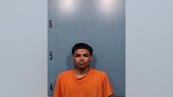 Multiple people stabbed at Texas Cinco de Mayo celebration, police say