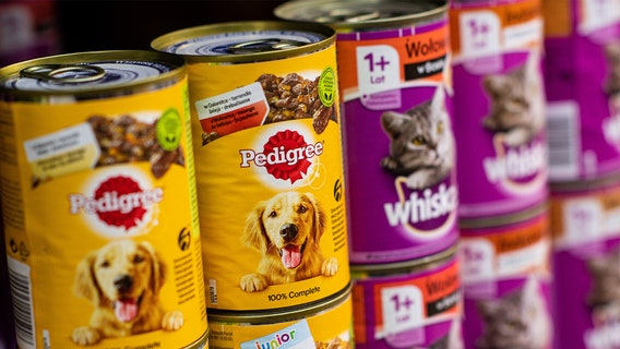 Florida's hurricane sales tax holiday includes pet supplies for first time