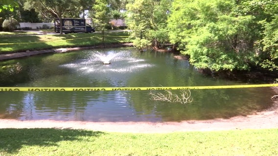 What's killing the ducks in Citrus Park neighborhood?