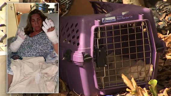 'I keep having flashbacks': Woman recovering after saving 17 foster cats from inside burning home