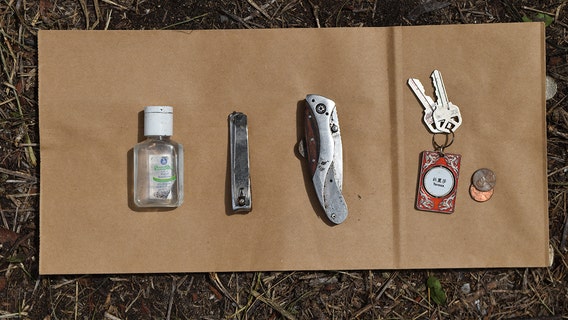 Investigators try to identify man found dead in the woods in Haines City