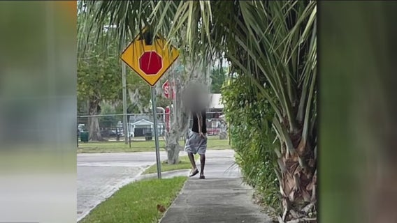 Tampa police arrest teen accused of groping several women in Seminole Heights