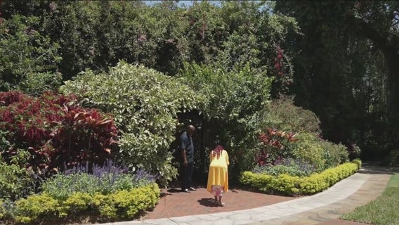 St. Petersburg's Sunken Gardens home to some of the oldest tropical plants in the region