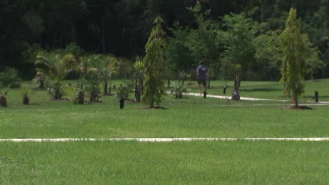 More than 300 trees from across the globe call a unique Carrollwood arboretum home