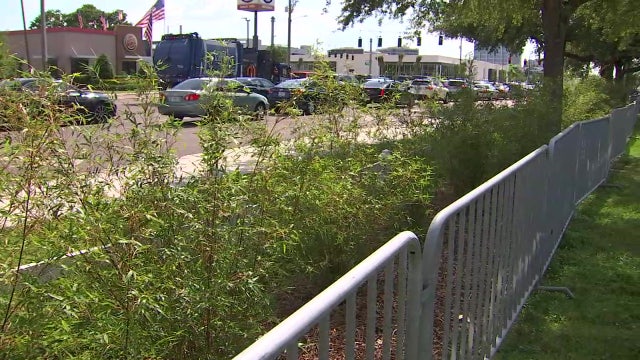 New bamboo fence at Raymond James Stadium to deter curb jumping, benefit the environment