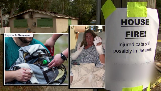 Largo cat rescuer injured while trying to save foster animals