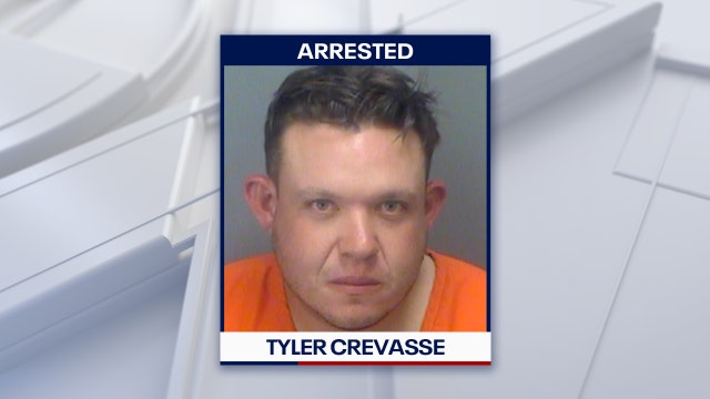 Clearwater man buries father's 18-year-old dog alive in backyard, police say