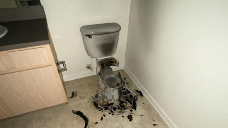 toilet2.jpg