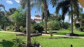 Man bitten in leg by 7-foot alligator at North Port motel garden