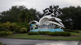 Here's how Florida teachers can get free admission to SeaWorld Orlando this summer