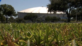 St. Pete hosts first forum for public input in Tropicana Field redevelopment