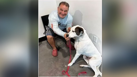 'Please pick me': Dog given up because he was deaf finds forever home with deaf Tampa man