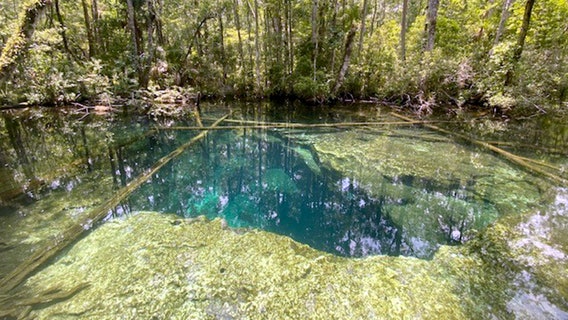 One dead, one missing after diving incident at Buford Springs