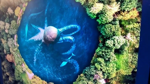 Florida Aquarium unveils new exhibit to show importance of the ocean