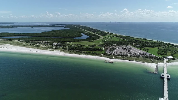 Low red tide amounts detected near Fort De Soto Park, state officials say
