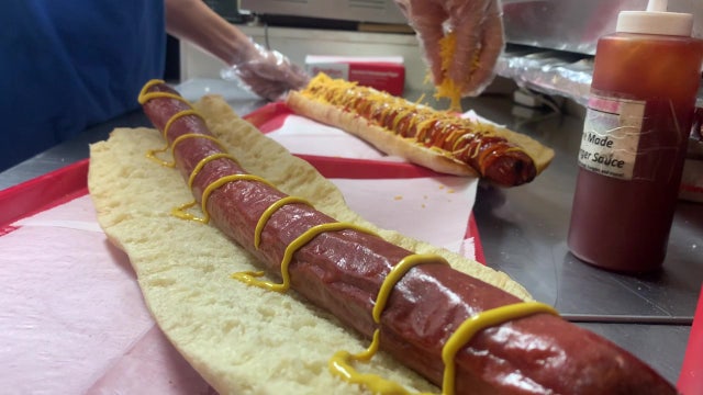 Safety Harbor father ditches daily grind for business built on ‘daddy dawgs’