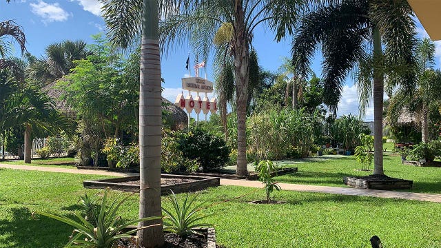 Man bitten in leg by 7-foot alligator at North Port motel garden