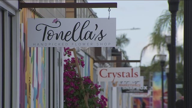 New Wesley Chapel shipping container park opens with dozens of restaurants, shops