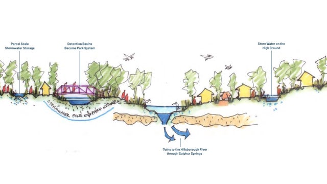 Making Tampa Bay more resilient to sea level rise and flooding: New study takes deeper dive