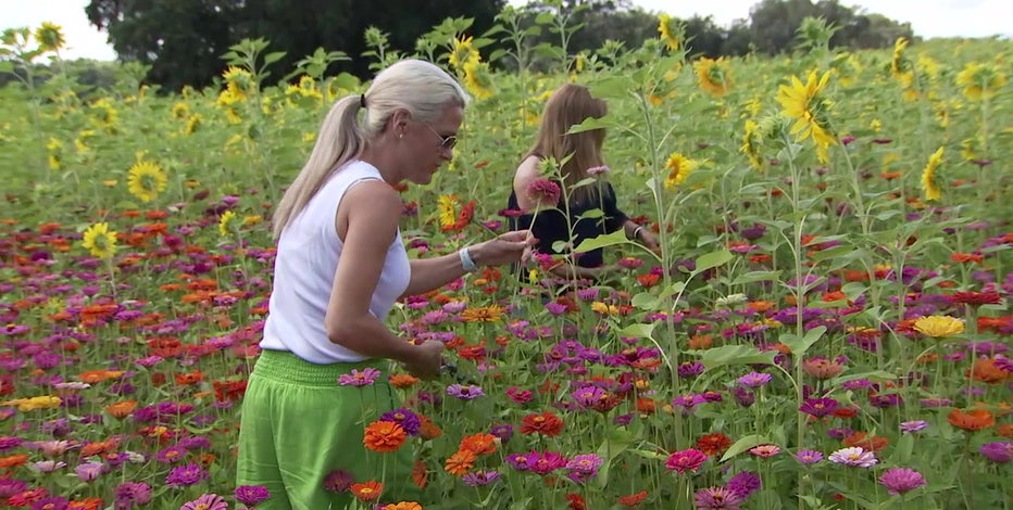 You pick' flowers replace strawberries during spring months in