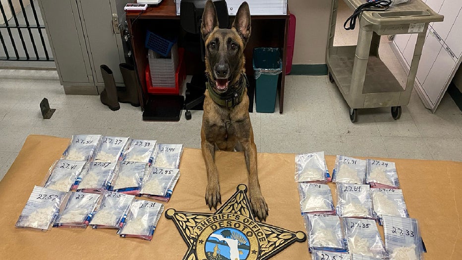 k9 liberty desoto drug bust