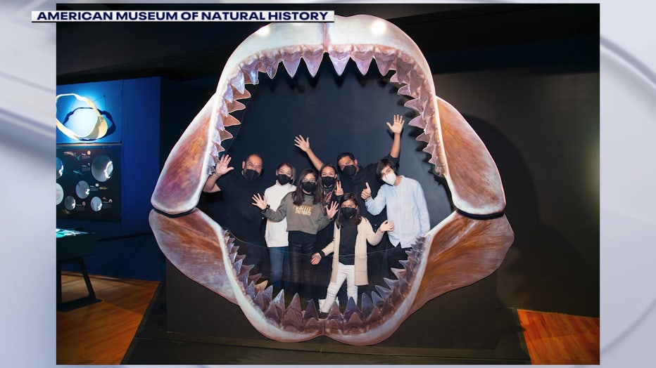 people standing inside mouth of megalodon