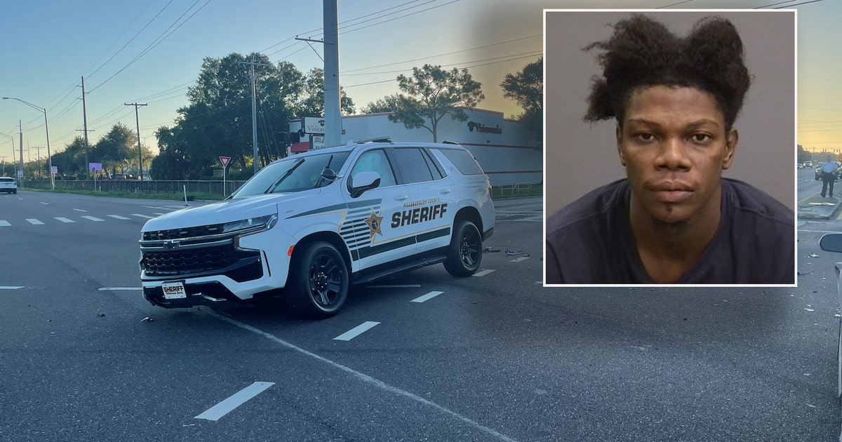 HCSO: Accused drunk driver runs red light, crashes into Hillsborough ...