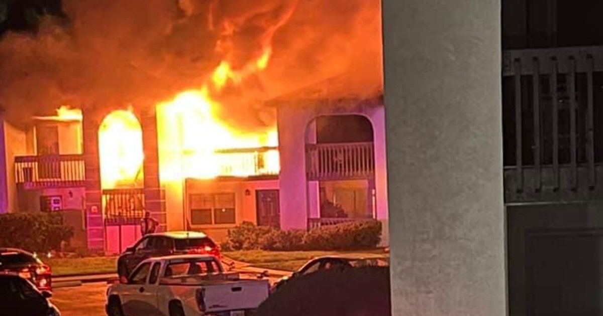 Child, adult dead after New Port Richey apartment fire | FOX 13 Tampa Bay