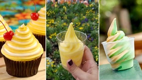 It's Dole Whip Day (according to Disney): Here's the recipe to make it at home