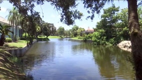 Golfer jumped into pond, tried to save woman being attacked by alligators: 911 calls