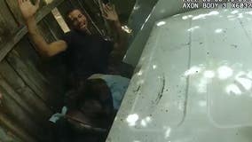 WATCH: K-9 takes down suspect wanted for murder outside Florida college, deputies say