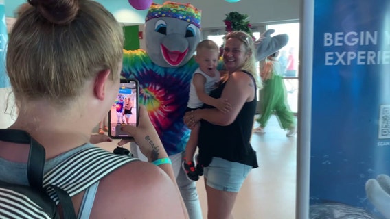 Clearwater Marine Aquarium promises summer of peace, love and dolphins