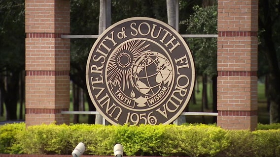 USF doctor resigns after unearthed audio exposes him boasting about skirting anti-DEI laws