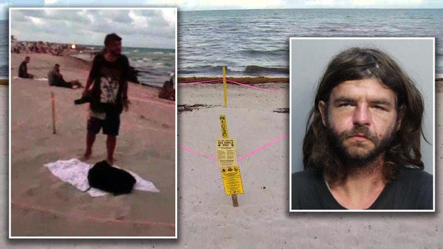 Video: Florida beachgoers confront man standing on top of protected sea turtle eggs in nesting area